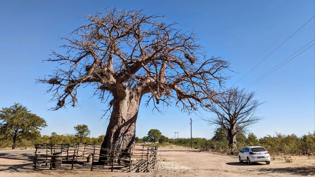 Footprints and Capricorns