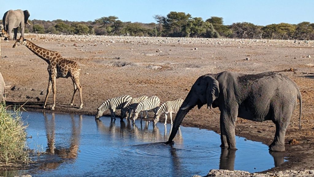 Etosha National Park