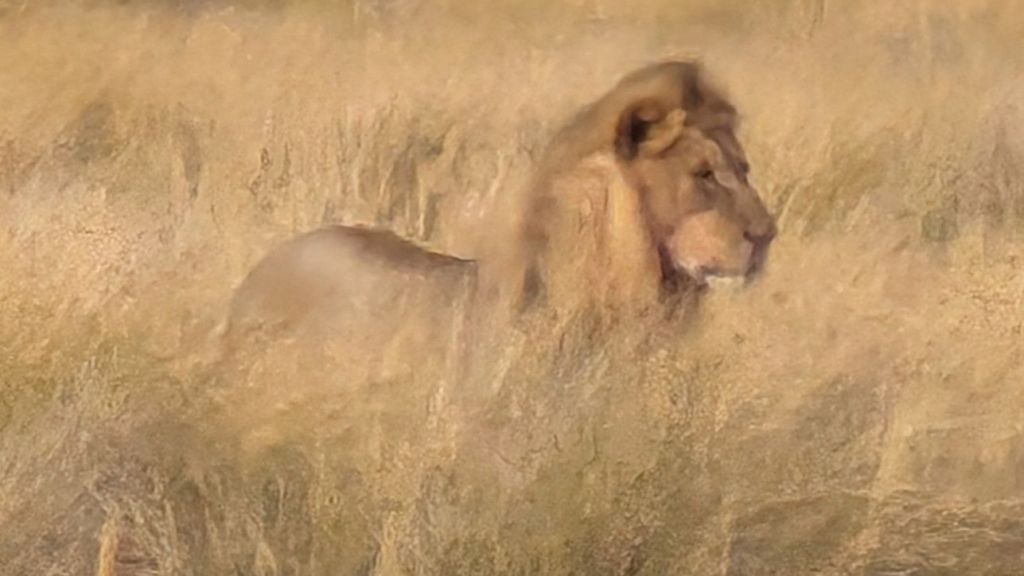 Etosha National Park: Halali&nbsp;Camp
