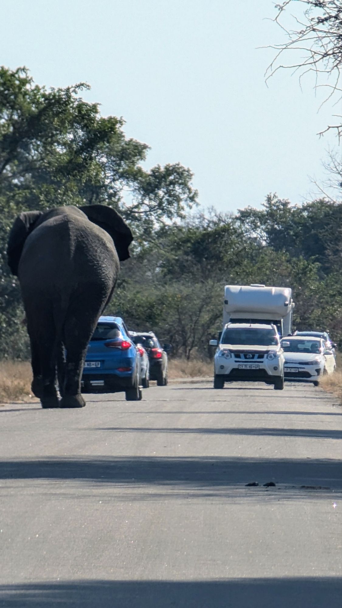 Kruger National Park