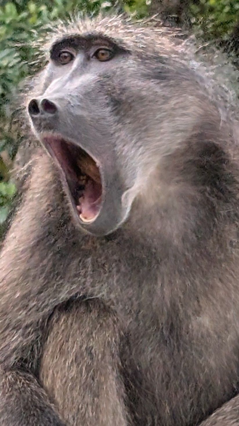 Frustration and Joy