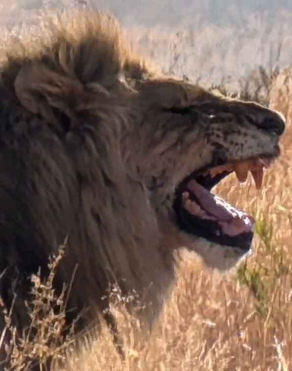 Goodbye, Happy Place!