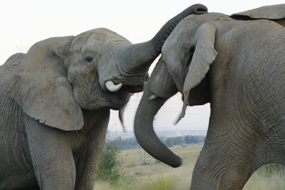 Back to Our Happy&nbsp;Place