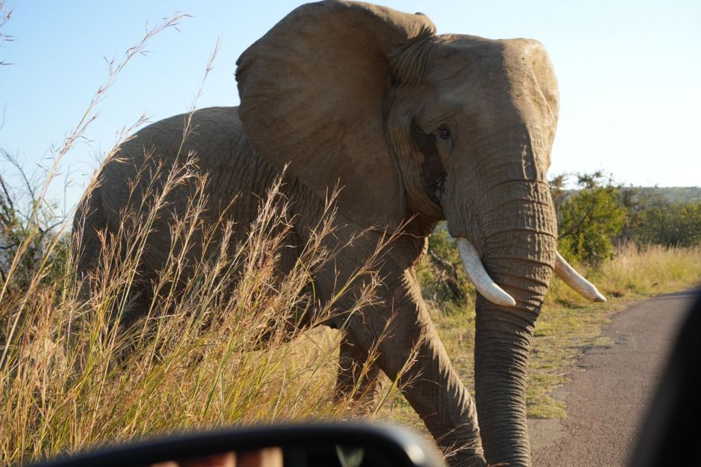 Learning: The Lifelong&nbsp;Pursuit