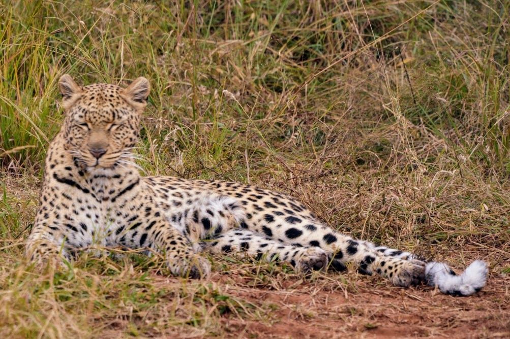 Goodbye Pilanesberg, Hello&nbsp;Okavango