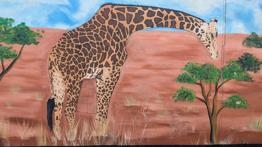 Goodbye Mozambique, Hello S. Africa ๐ค