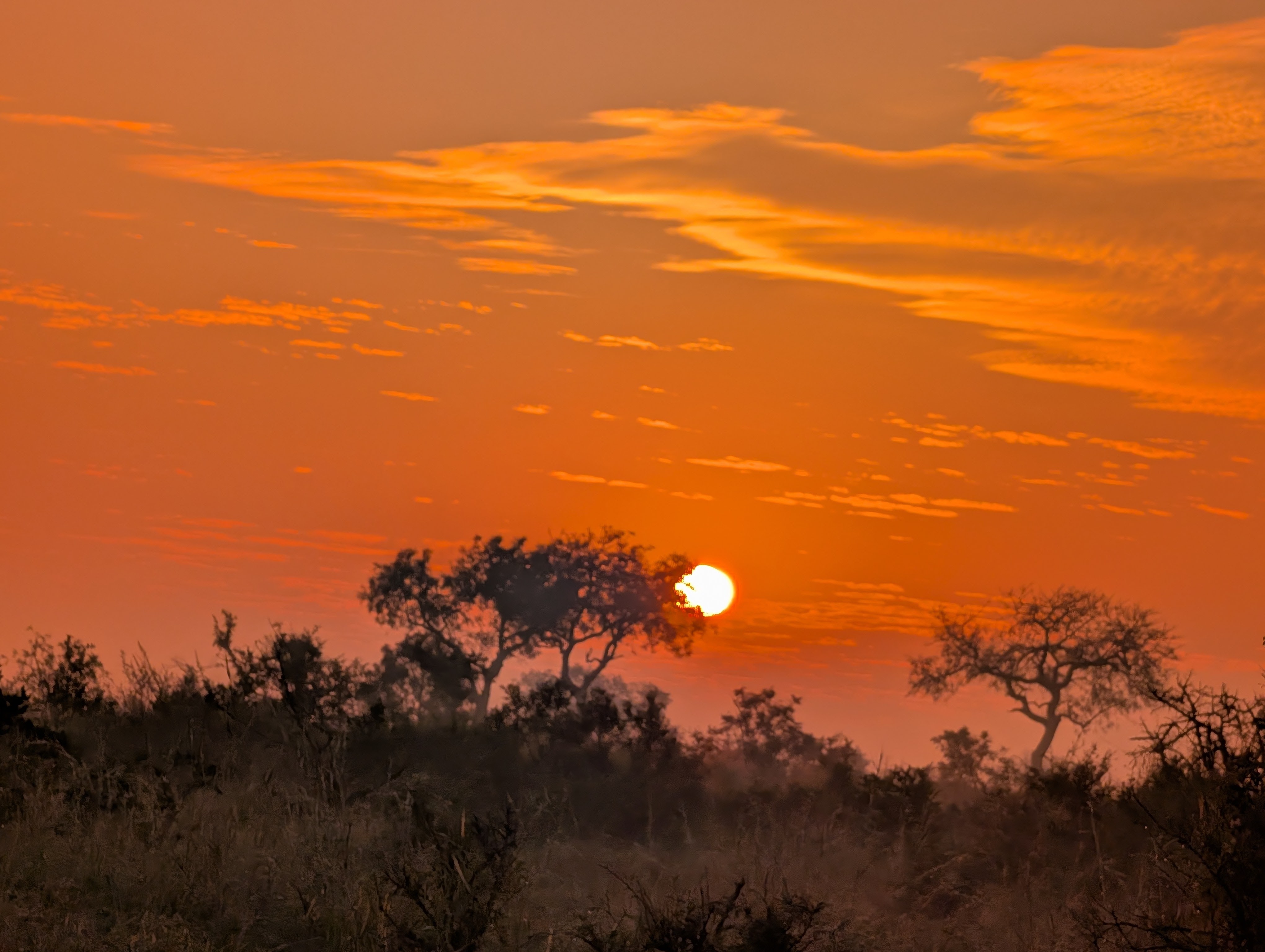 An Unexpected African Experience